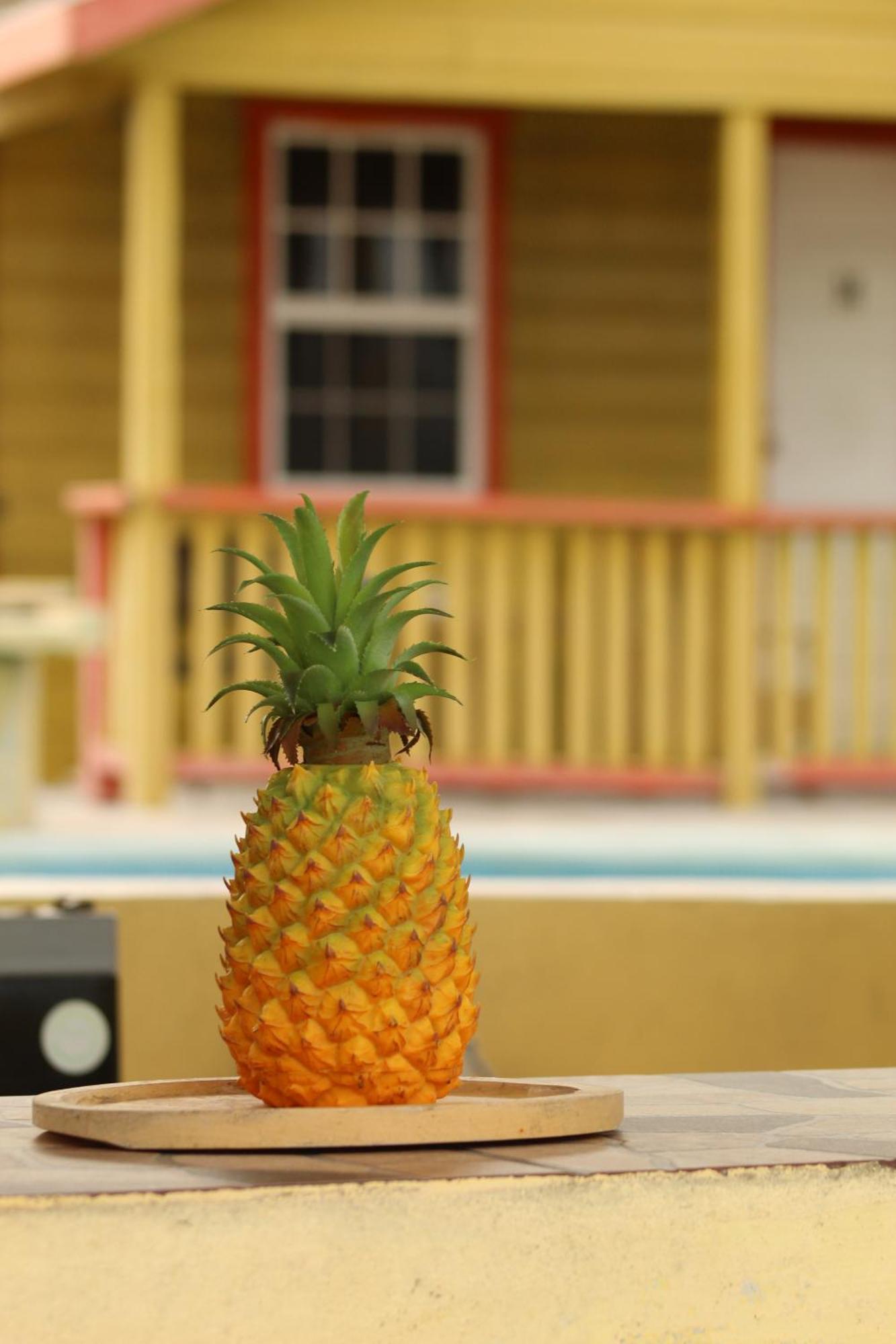 Tropical Paradise Caye Caulker Exterior photo