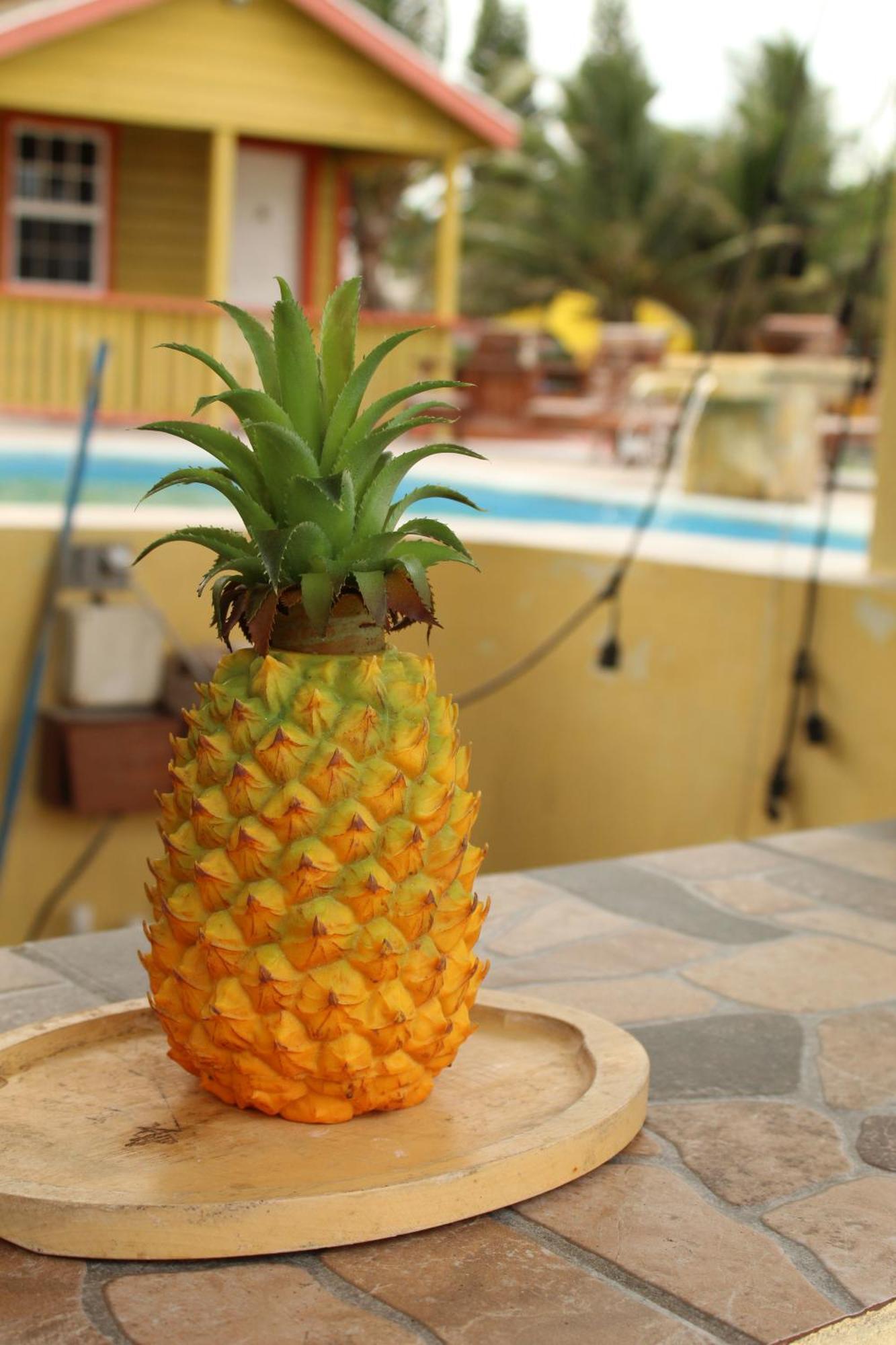 Tropical Paradise Caye Caulker Exterior photo